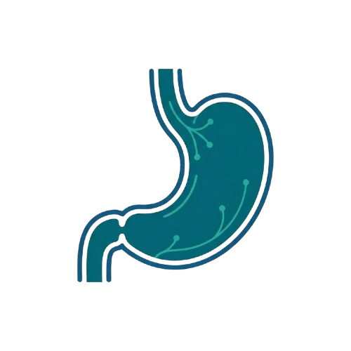 Gastroenterology icon | CityHospital