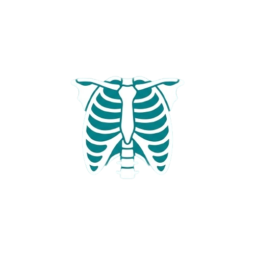 Radiology icon | CityHospital